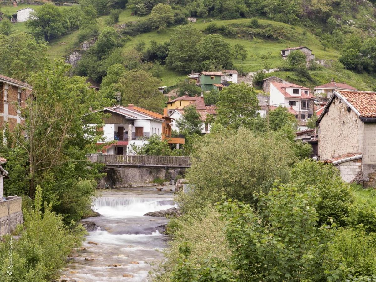 Apto. De Montana La Campa En Фелечоса Экстерьер фото